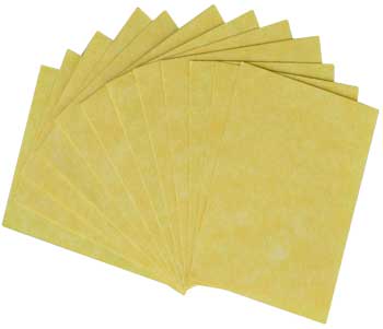 Light Parchment 12 Pack (3