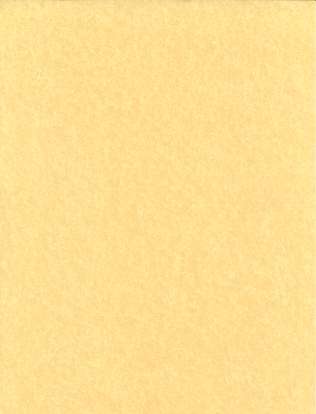 Light Parchment 500 Pack (8 1/2" x 11")