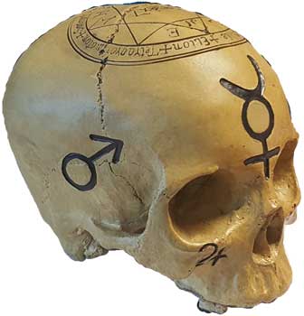 Mystic Skull Sculpture