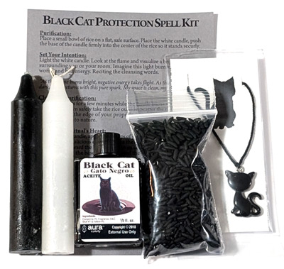 Black Cat Protection spel kit