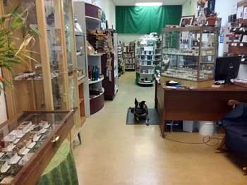 44035, Seeds of Wellness, 511 Abbe Rd N, Suite G Elyria, OH