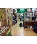 44012, Seeds of Wellness, 33501 lake rd Ste H Avon Lake, OH
